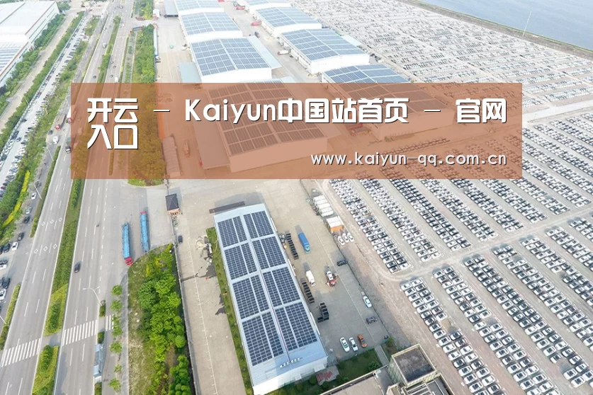 案例展示四